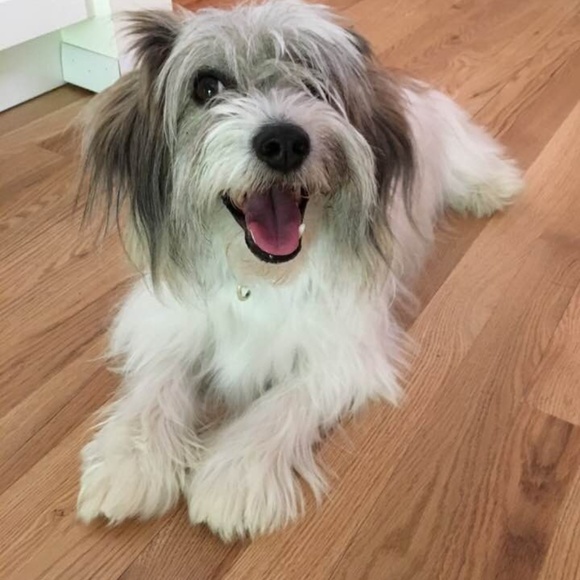 Meet your Posher, Jamie - Picture 1 of 1